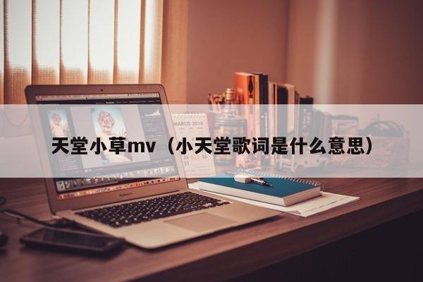 天堂小草mv(小天堂歌词是什么意思)